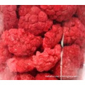 /msite/products/detail/productid/55171924/id/539928.html